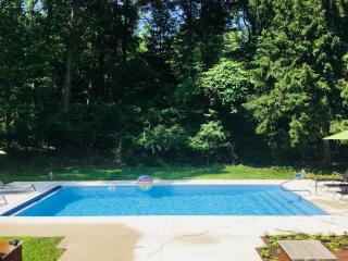 Ravenswood Pool House - 0