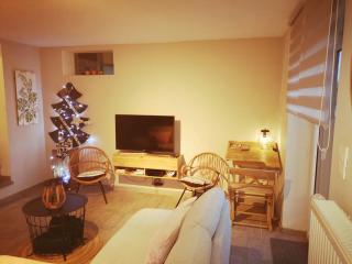 Chalet in Ardennes with Mountain Views - Aywaille - 2