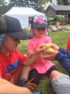 Mohaka River Farm - 2
