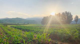 Mohaka River Farm - 5