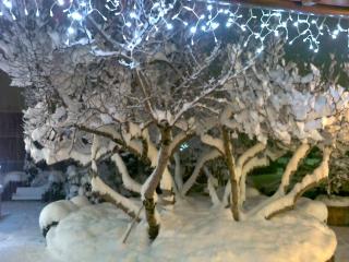 Hotel Ristorante La Lanterna - Castelnuovo di Garfagnana - 5