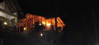 Woodrose Resort - Kalpetta - 1