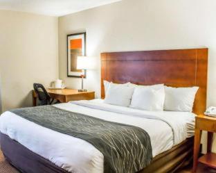 Comfort Inn Fayetteville near Fort Bragg - 8