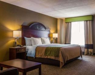 Comfort Inn Airport - 5