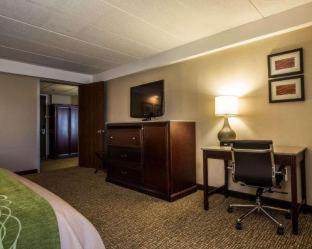 Comfort Inn Airport - 2