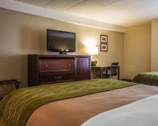 Comfort Inn Airport - 1