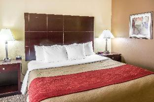 Comfort Inn & Suites Austin North Loop - Austin - 7