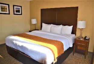 Comfort Inn & Suites Vancouver Downtown City Center - Vancouver - 7