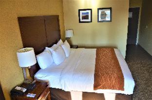 Comfort Inn & Suites Vancouver Downtown City Center - Vancouver - 6