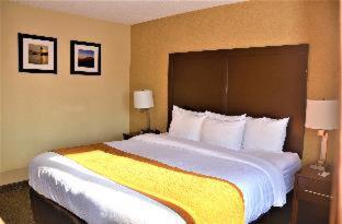 Comfort Inn & Suites Vancouver Downtown City Center - Vancouver - 5