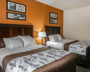 Sleep Inn & Suites Hwy 290-NW Freeway - Houston - 6