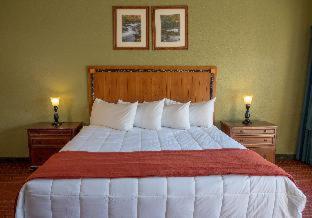 River Terrace Resort & Convention Center - Gatlinburg - 2