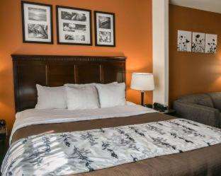 Sleep Inn & Suites Hwy 290-NW Freeway - 4