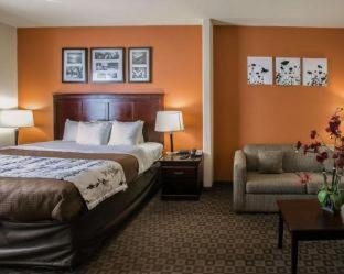 Sleep Inn & Suites Hwy 290-NW Freeway - Houston - 1