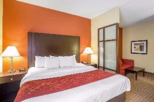 Comfort Suites Golden Isles Gateway - 7