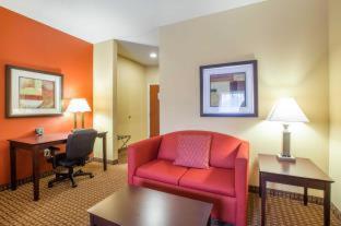 Comfort Suites Golden Isles Gateway - 4