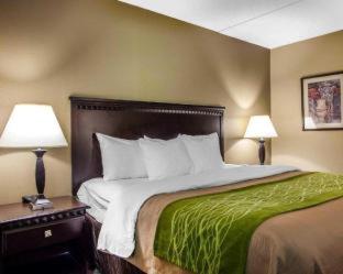 Comfort Inn Edison - New Brunswick - 3