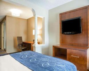 Comfort Suites West Warwick - Providence - 6