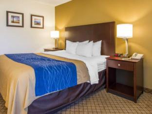 Quality Inn Clarksville - Exit 11 - 3