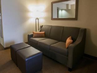 Comfort Suites Austin Airport - Austin - 8