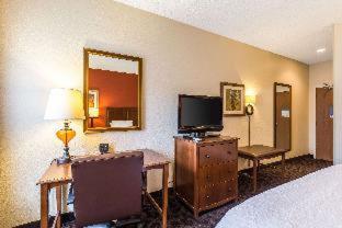 Quality Inn Texas City I-45 - 8