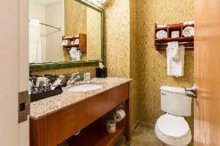 Quality Inn Texas City I-45 - 6