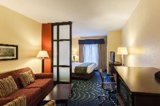 Comfort Suites East Lincoln - Mall Area - Lincoln - 8