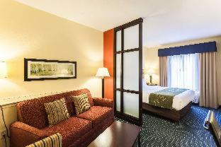 Comfort Suites East Lincoln - Mall Area - Lincoln - 7