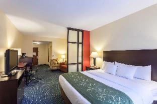 Comfort Suites East Lincoln - Mall Area - Lincoln - 3