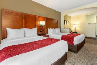 Comfort Suites Newark - Harrison - 3