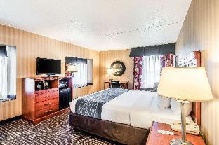 Comfort Inn & Suites Alexandria West - Alexandria - 8