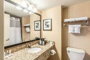 Comfort Inn & Suites Alexandria West - 7
