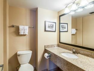 Comfort Inn & Suites Alexandria West - Alexandria - 6