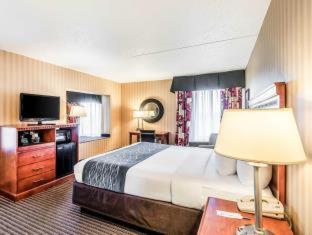 Comfort Inn & Suites Alexandria West - Alexandria - 4