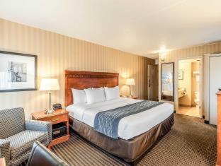 Comfort Inn & Suites Alexandria West - Alexandria - 3