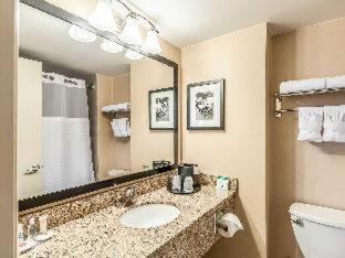 Comfort Inn & Suites Alexandria West - Alexandria - 2