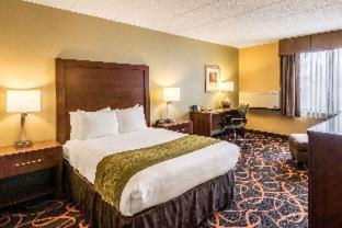 Comfort Inn Plymouth-Minneapolis - 8