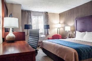 Comfort Inn University - Amherst - 8