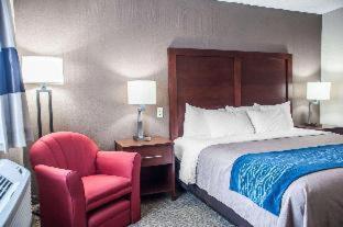 Comfort Inn University - Amherst - 7