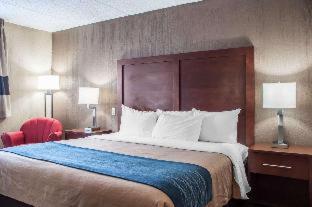 Comfort Inn University - Amherst - 6
