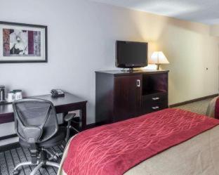 Clarion Hotel & Suites BWI Airport North - 6
