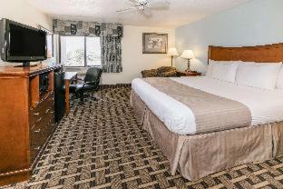 Baymont by Wyndham Arlington At Six Flags Dr - Arlington - 8