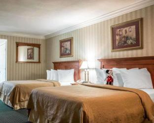 Quality Inn & Suites Anaheim Maingate - Anaheim - 5