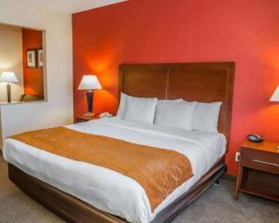 Spark by Hilton Indianapolis Northeast Fishers - 4
