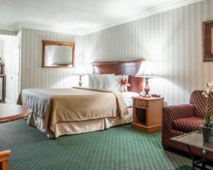 Quality Inn & Suites Anaheim Maingate - Anaheim - 3