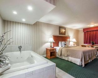 Quality Inn & Suites Anaheim Maingate - Anaheim - 2