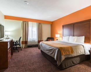 Econo Lodge Inn & Suites East Houston I-10 - Houston - 4