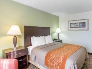 Comfort Inn Franklin Highway 96 - 1