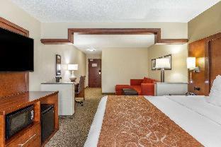 Comfort Suites Grand Rapids North - 6