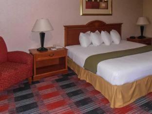 Quality Inn & Suites Oceanside Near Camp Pendleton - 6